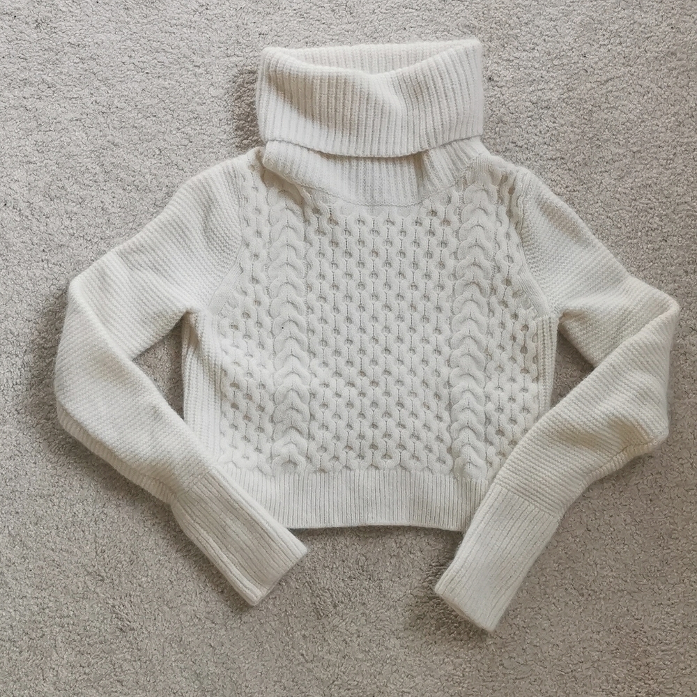 Club Monaco Crop wool turtleneck sweater